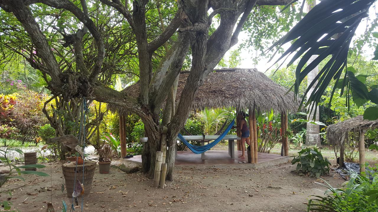 Las Cabanas De La Iguana 아얌페 외부 사진